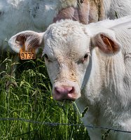 18740789_1897587663862943_5947770657067633618_n