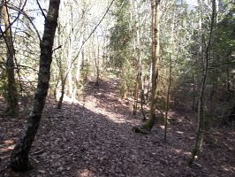 baladepique-nique2017dbut21