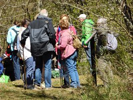 baladepique-nique2017dbut28