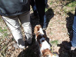 baladepique-nique2017dbut43