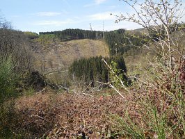 baladepique-nique2017dbut48