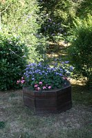 fleursjuillet2018023