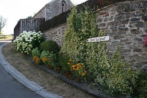 fleursjuillet2018027