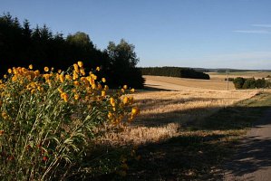 fleursjuillet2018036