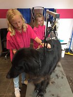 22549584_1941451382780192_8446522229824714629_n