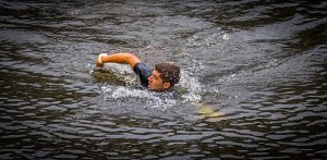 19598495_1914917452129964_451797636319913740_n