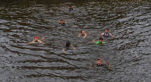 19642243_1916304991991210_9011963403835356717_n