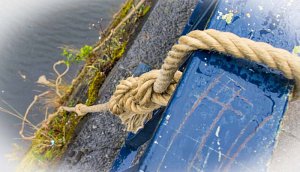 19665405_1916288841992825_7798779251215034901_n