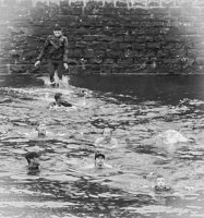 19732118_1916304775324565_8206009597635508301_n