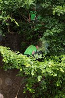 19732377_1919181275036915_7492725381634474185_n