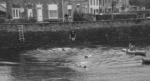 19756558_1916304108657965_1244482148650297618_n